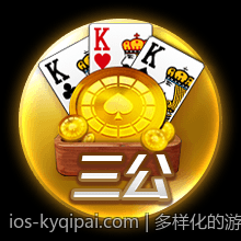 多样化的游戏模式满足不同玩家体验需求