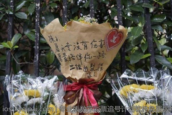 专业版数字彩票追号计划软件免费版推荐